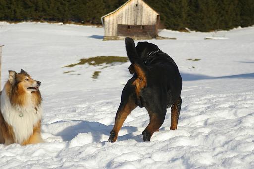 Fotos f. Homepage Galerie 048